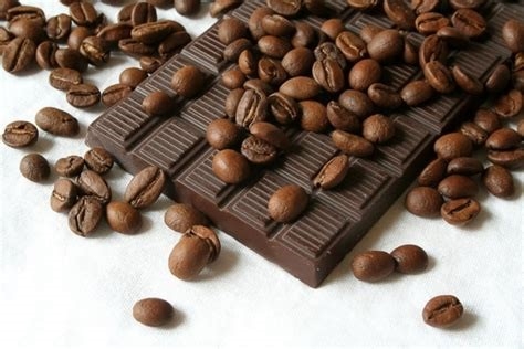 cacao_chocolade_watishetverschil_spiruella_nl