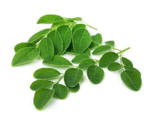 Voordelen van Moringa bladpoeder
