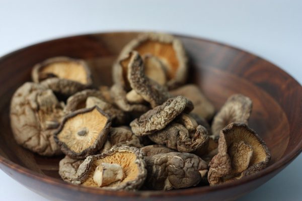 geneeskrachtige paddenstoelen