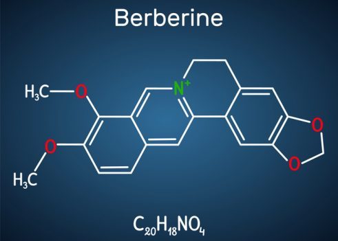 Berberine moleculaire structuur